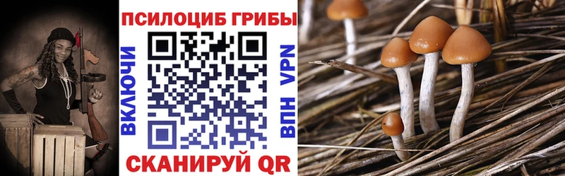 Галлюциногенные грибы GOLDEN TEACHER  KRAKEN маркетплейс  Чегем 